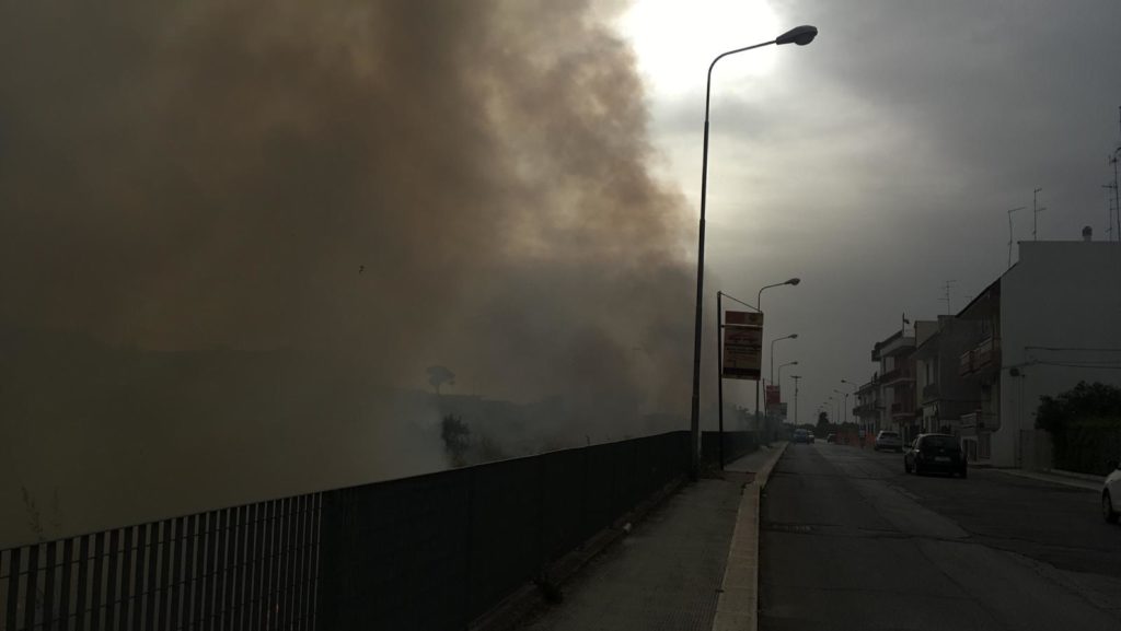 incendio palo del colle
